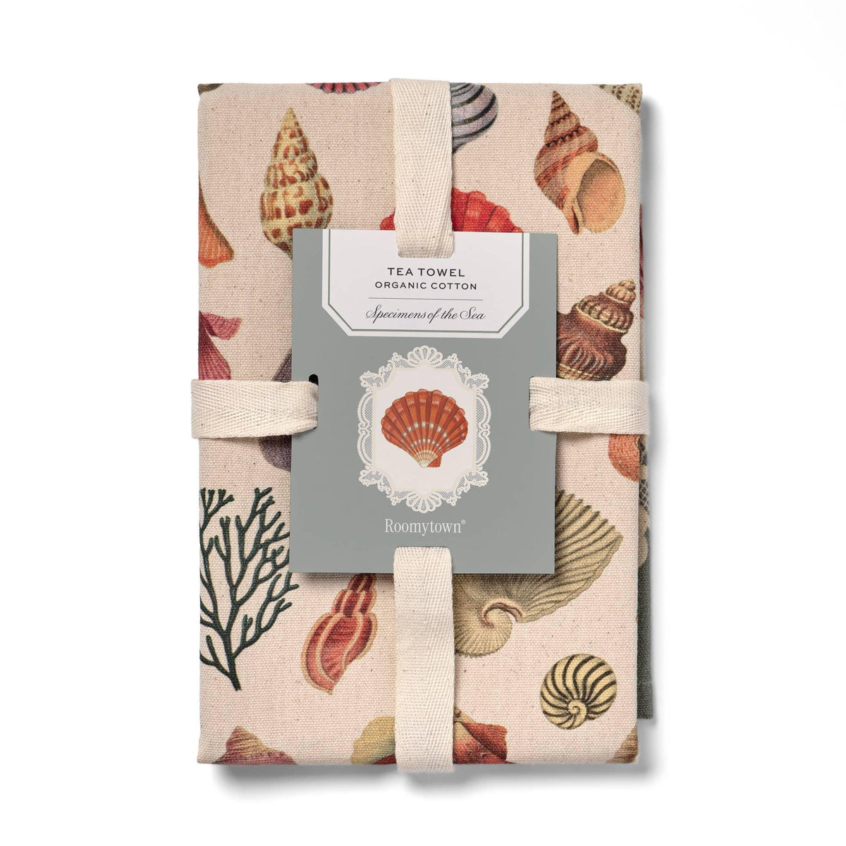 Vintage Seashell Specimens of the Sea, Organic Cotton Tea Towel Coastal Kitchen Décor