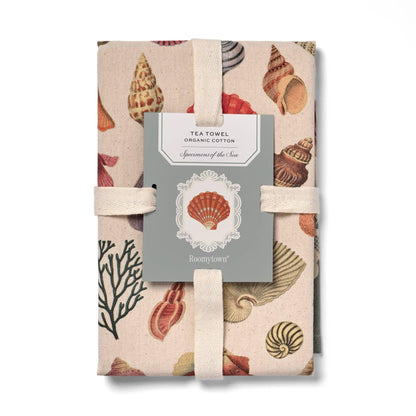 Vintage Seashell Specimens of the Sea, Organic Cotton Tea Towel Coastal Kitchen Décor
