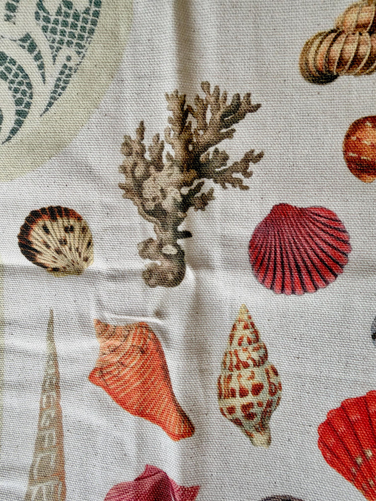 Vintage Seashell Specimens of the Sea, Organic Cotton Tea Towel Coastal Kitchen Décor