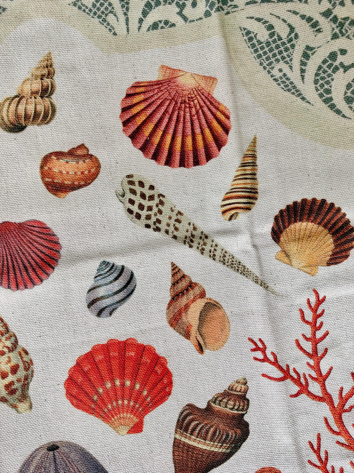 Vintage Seashell Specimens of the Sea, Organic Cotton Tea Towel Coastal Kitchen Décor