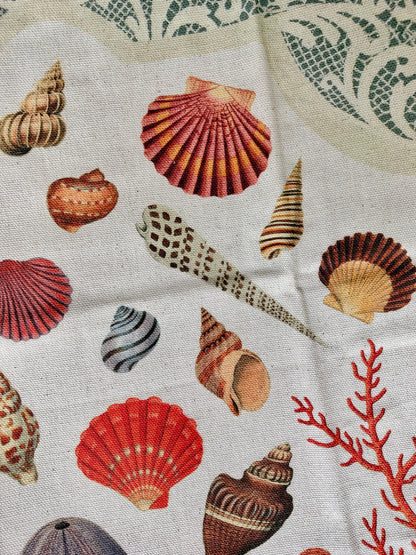 Vintage Seashell Specimens of the Sea, Organic Cotton Tea Towel Coastal Kitchen Décor