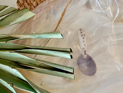 Handcrafted Mother of Pearl Clam Dish & Cowrie Shell Spoon Set, Coastal Décor Gift
