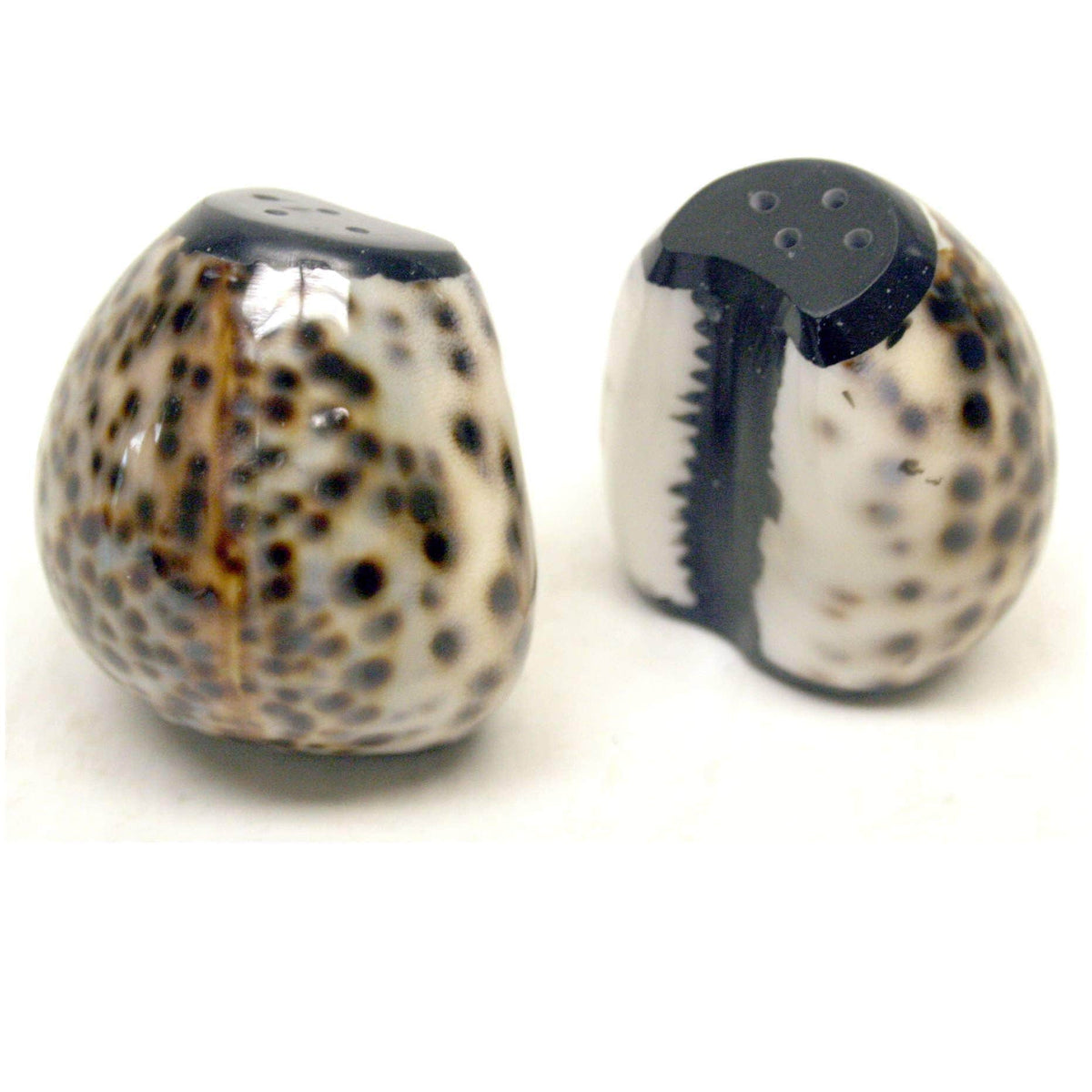 Handcrafted Cowrie Shell Salt And Pepper Shakers Set, Organic Modern Coastal Décor Gift