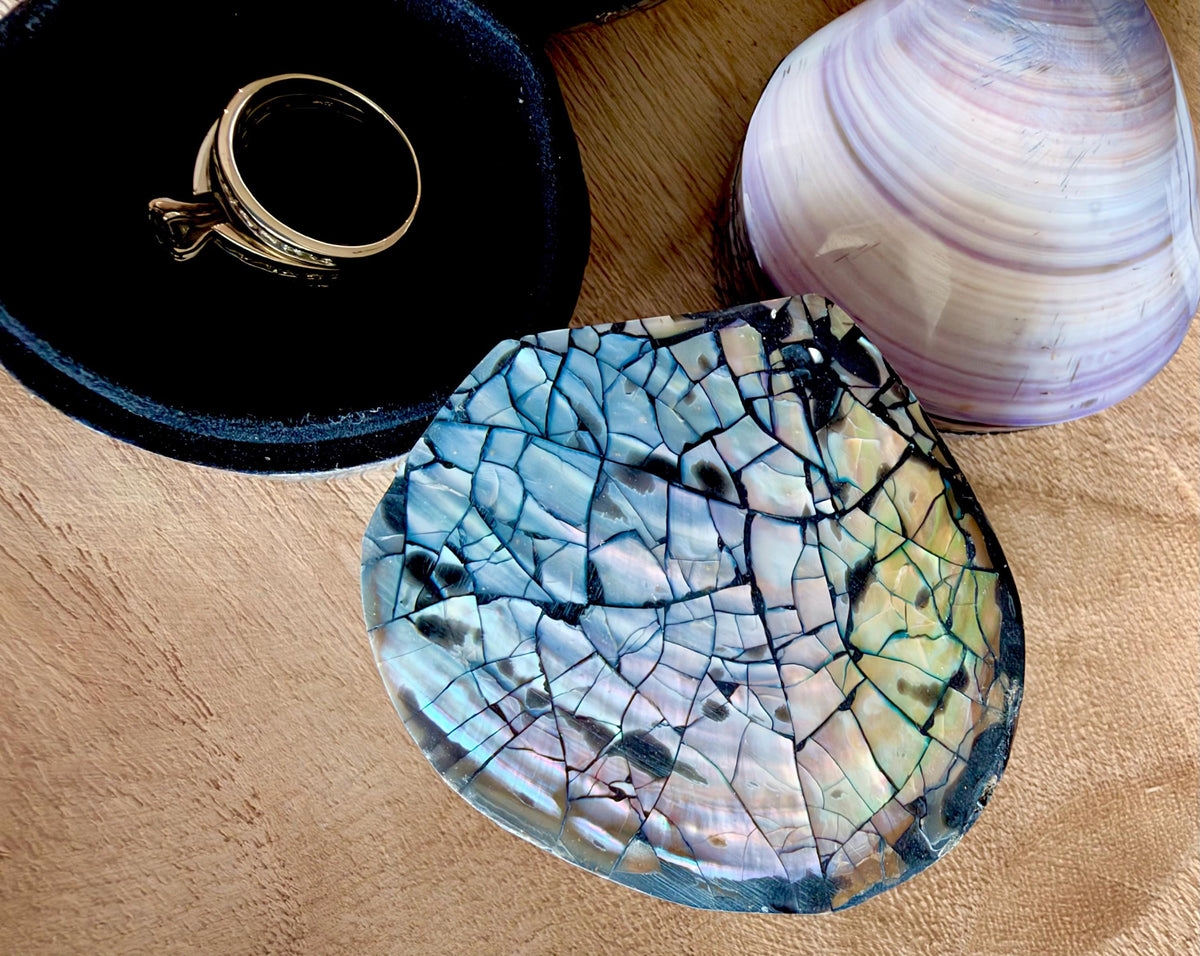 Natural Handmade Seashell Clam Ring Box: 3 Colors, 2.5" Shell Coastal Gift