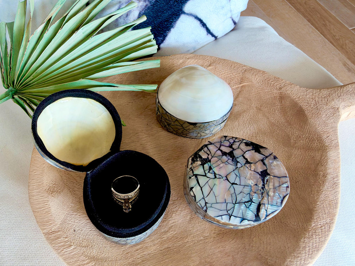Natural Handmade Seashell Clam Ring Box: 3 Colors, 2.5" Shell Coastal Gift