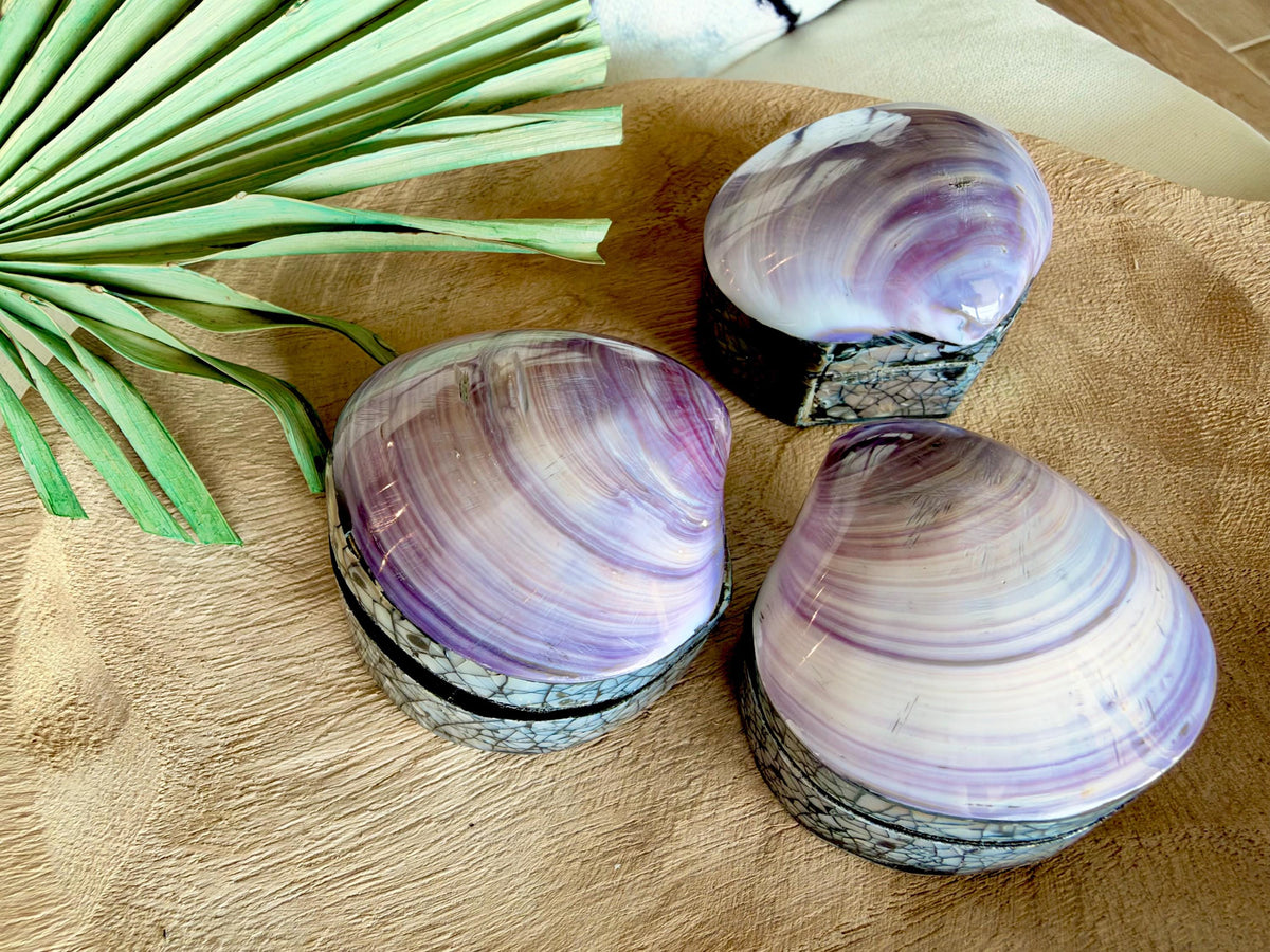Natural Handmade Seashell Clam Ring Box: 3 Colors, 2.5" Shell Coastal Gift