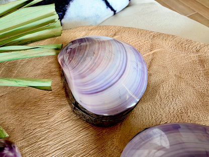 Natural Handmade Seashell Clam Ring Box: 3 Colors, 2.5" Shell Coastal Gift