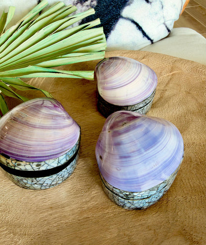 Natural Handmade Seashell Clam Ring Box: 3 Colors, 2.5" Shell Coastal Gift