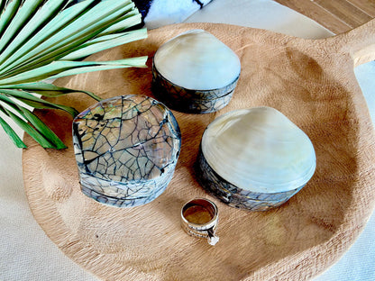 Natural Handmade Seashell Clam Ring Box: 3 Colors, 2.5" Shell Coastal Gift