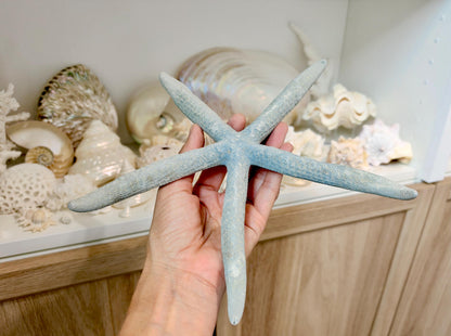 Blue Linckia Natural Preserved Starfish 9-10" Coastal Beach Home Décor & Crafts