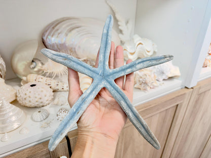 Blue Linckia Natural Preserved Starfish 9-10" Coastal Beach Home Décor & Crafts