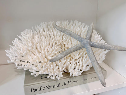 Blue Linckia Natural Preserved Starfish 9-10" Coastal Beach Home Décor & Crafts