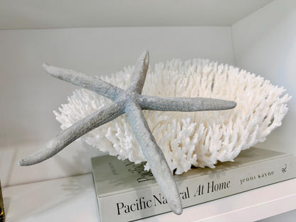 Blue Linckia Natural Preserved Starfish 9-10" Coastal Beach Home Décor & Crafts