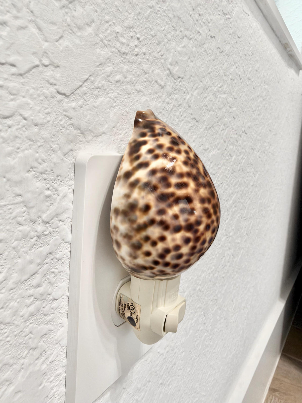 Authentic Tiger Cowrie Shell Night Light 5": Wall Plug-in Natural Seashell Décor