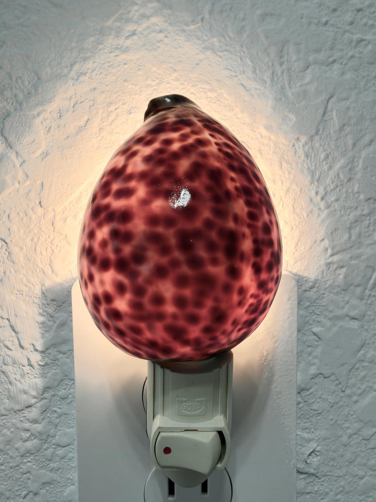 Authentic Tiger Cowrie Shell Night Light 5": Wall Plug-in Natural Seashell Décor