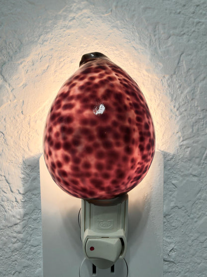 Authentic Tiger Cowrie Shell Night Light 5": Wall Plug-in Natural Seashell Décor