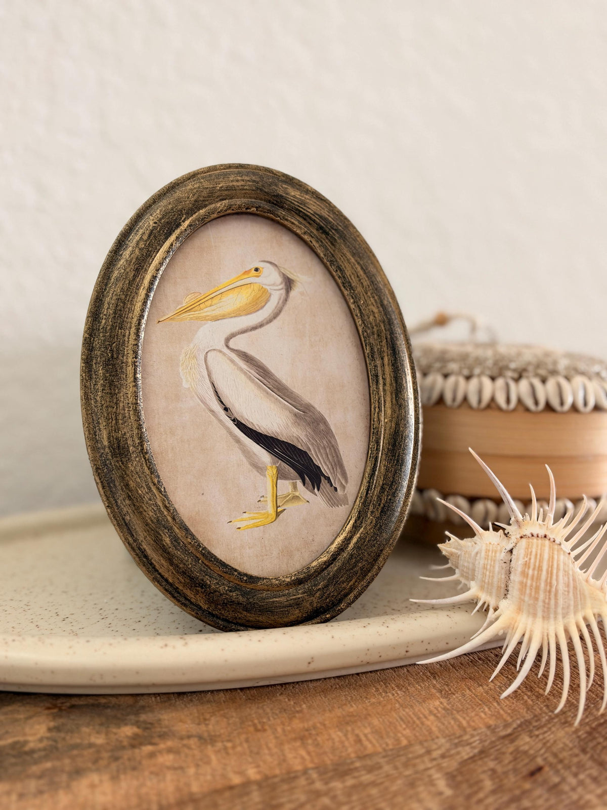 Coastal Primitive Pelican Portrait Hanging Wall Décor 7.5x5", Wood Frame