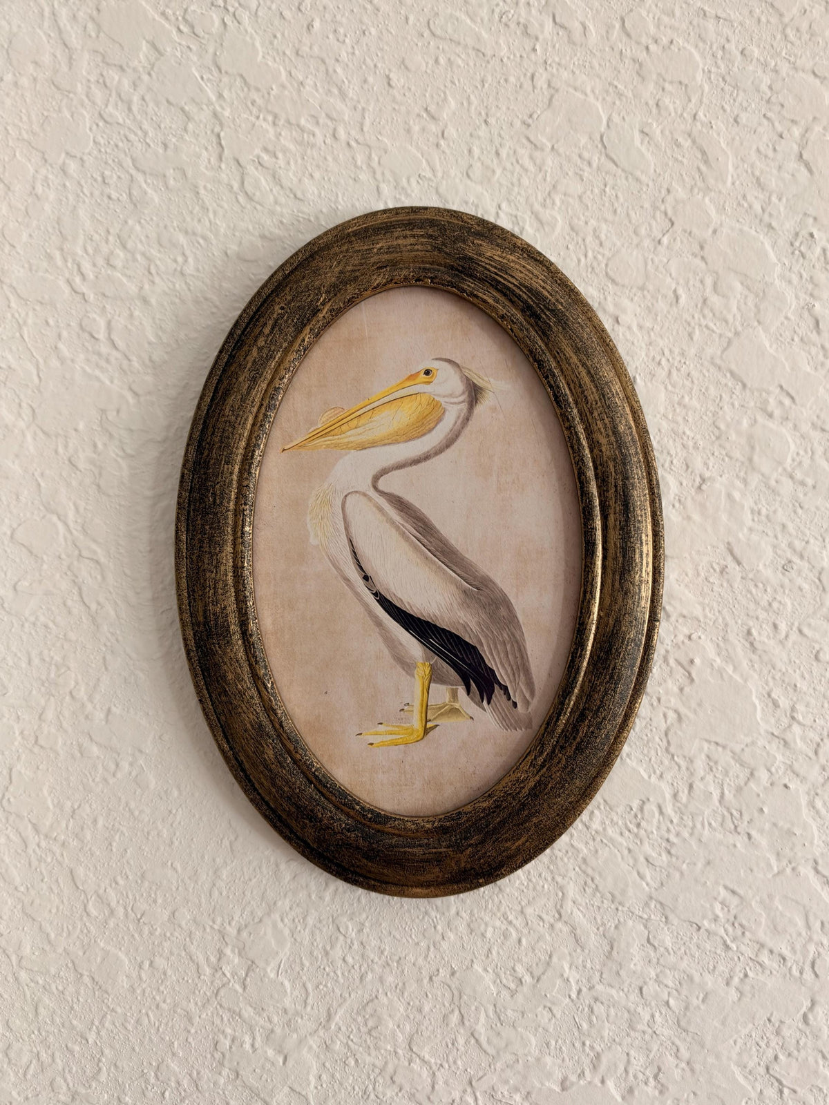 Coastal Primitive Pelican Portrait Hanging Wall Décor 7.5x5", Wood Frame