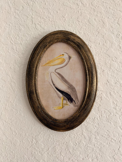 Coastal Primitive Pelican Portrait Hanging Wall Décor 7.5x5", Wood Frame