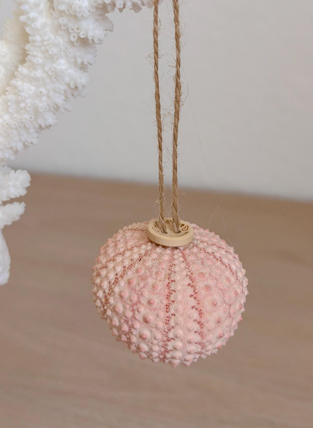 Handmade Pink Sea Urchin Ornaments: Set of 6, Natural Seashell Christmas Tree Decoration