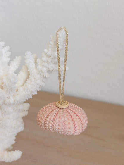 Handmade Pink Sea Urchin Ornaments: Set of 6, Natural Seashell Christmas Tree Decoration