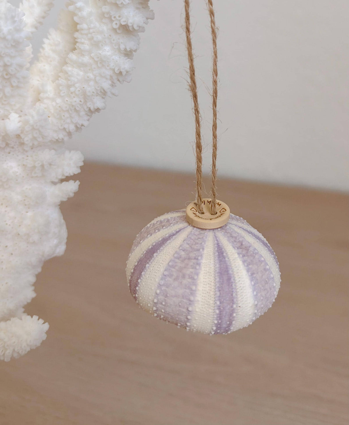 Handmade Purple Sea Urchin Ornaments: Set of 6, Natural Seashell Christmas Tree Decoration