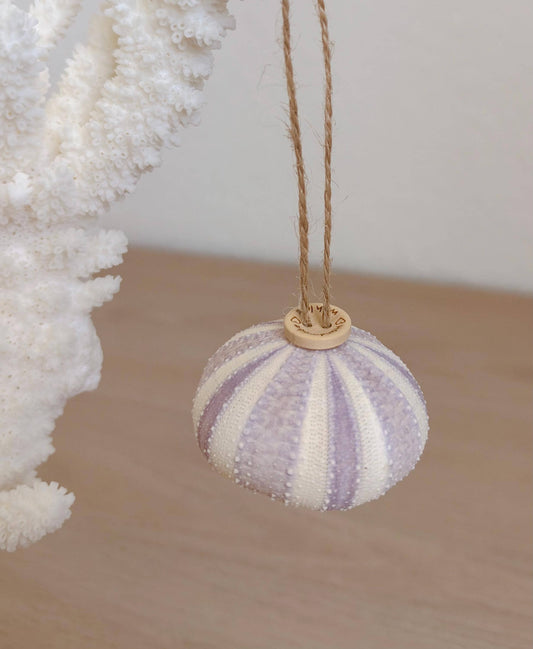 Handmade Purple Sea Urchin Ornaments: Set of 6, Natural Seashell Christmas Tree Decoration