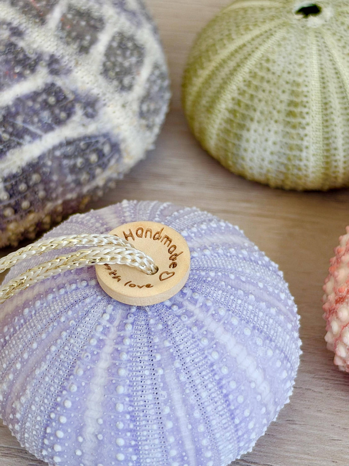 Handmade Mixed Color Sea Urchin Ornaments: Set of 5, Natural Seashell Christmas Tree Decoration