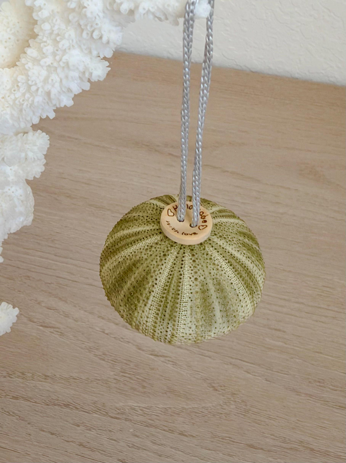 Handmade Green Sea Urchin Ornaments: Set of 6, Natural Seashell Christmas Tree Decoration