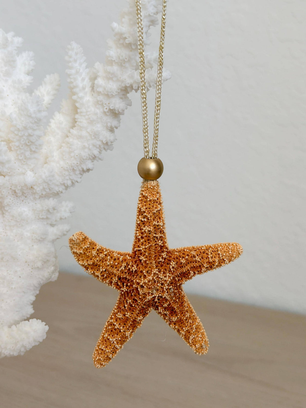 Handmade Sugar Starfish Ornaments: Set of 6, Natural Seashell Christmas Tree Decoration
