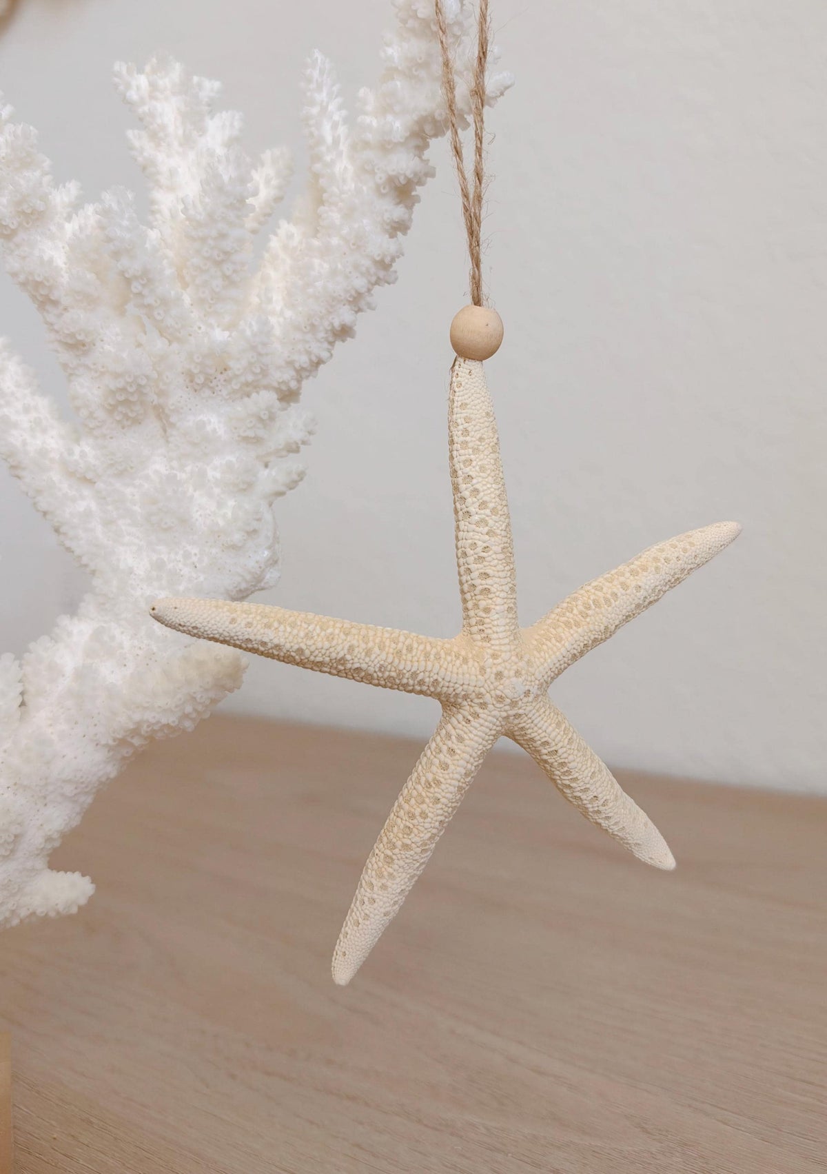 Handmade White Pencil Starfish Ornaments: Set of 6, Natural Seashell Christmas Tree Decoration