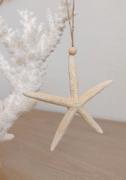 Handmade White Pencil Starfish Ornaments: Set of 6, Natural Seashell Christmas Tree Decoration