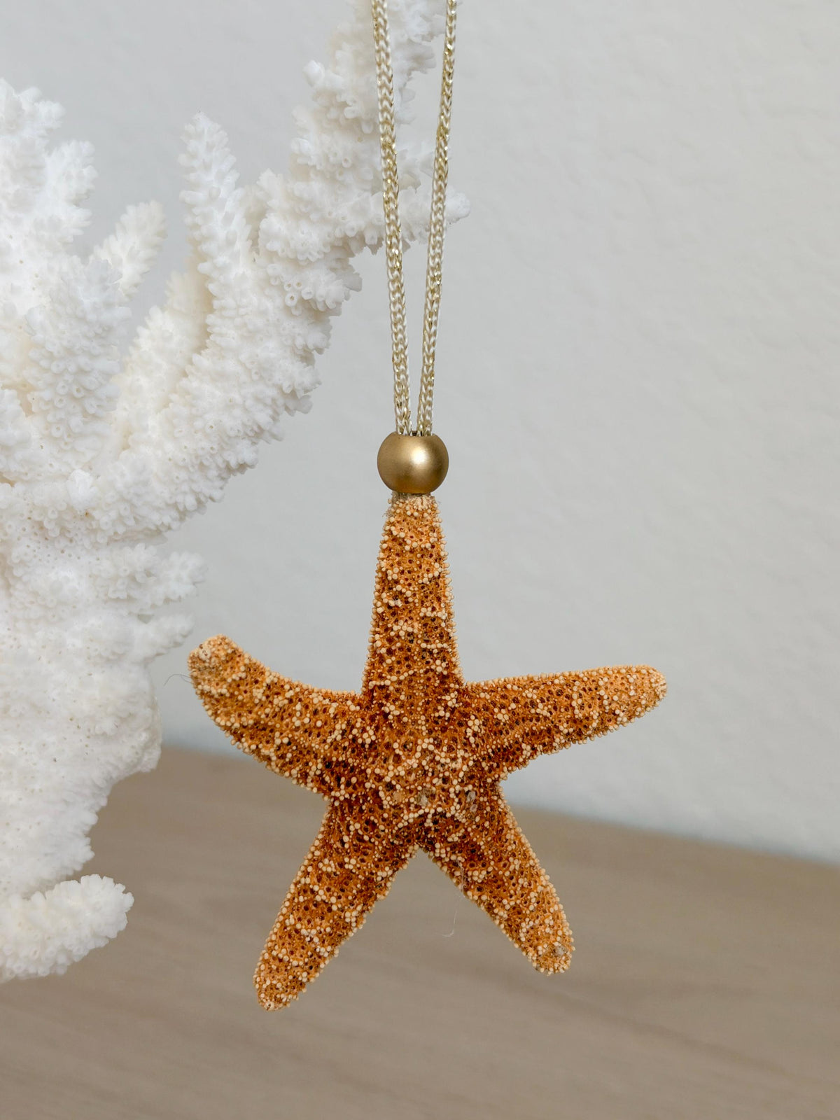Handmade Sugar & Pencil Starfish Ornaments: Set of 6, Natural Seashell Christmas Tree Decoration