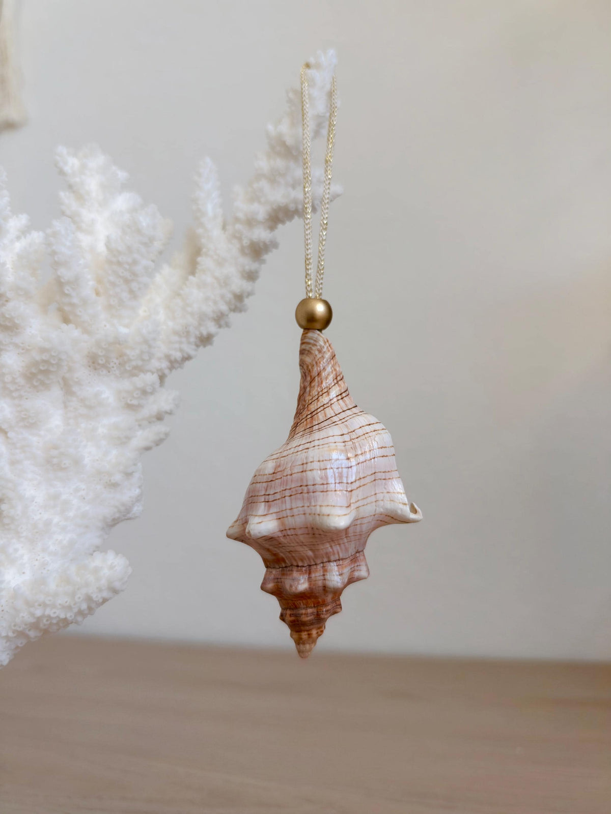 Handmade Seashell Ornaments: Set of 6, Natural Shells Christmas Tree Decoration