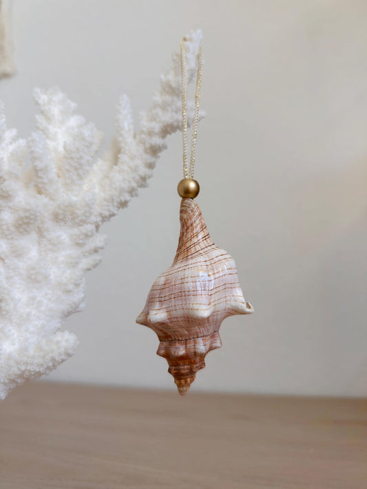 Handmade Seashell Ornaments: Set of 6, Natural Shells Christmas Tree Decoration
