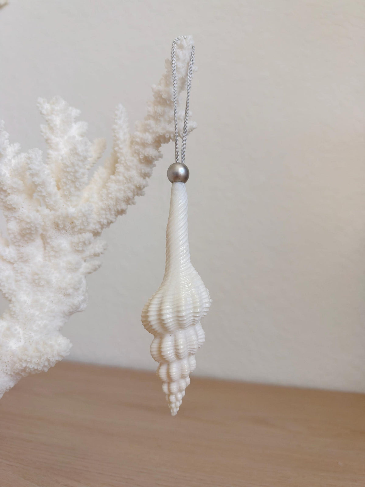 Handmade White Seashells, Urchins, Starfish Ornaments: Set of 6, Natural Christmas Tree Decoration