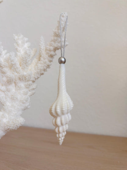Handmade White Seashells, Urchins, Starfish Ornaments: Set of 6, Natural Christmas Tree Decoration