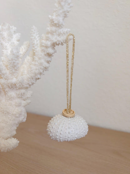 Handmade White Seashells, Urchins, Starfish Ornaments: Set of 6, Natural Christmas Tree Decoration