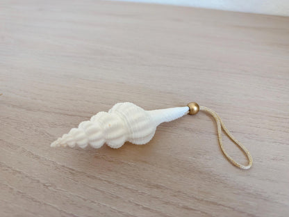 Handmade White Seashells, Urchins, Starfish Ornaments: Set of 6, Natural Christmas Tree Decoration
