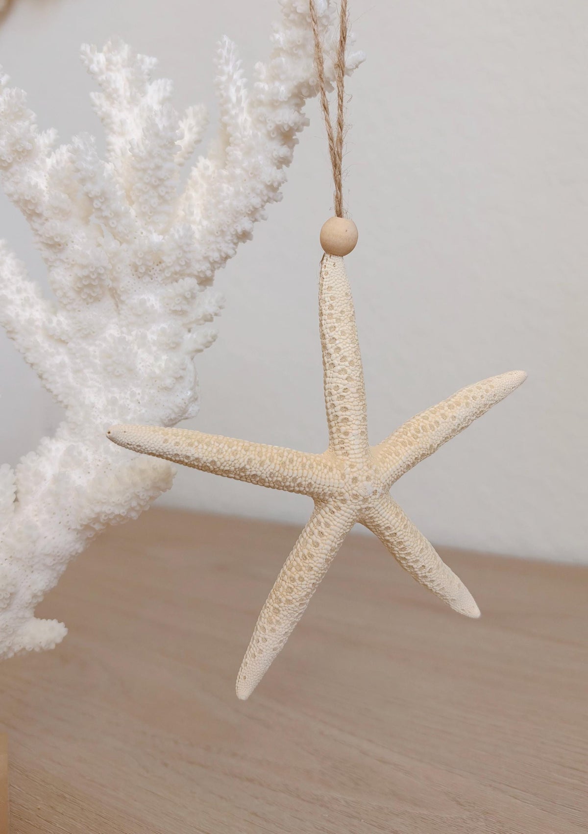 Handmade White Seashells, Urchins, Starfish Ornaments: Set of 6, Natural Christmas Tree Decoration