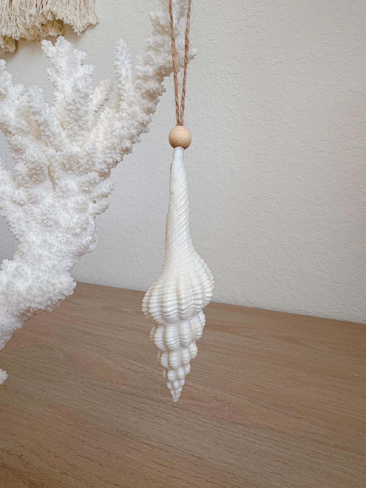Handmade White Seashells Ornaments: Set of 6 Natural Shells Christmas Tree Decoration
