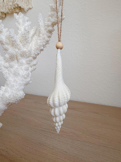 Handmade White Seashells Ornaments: Set of 6 Natural Shells Christmas Tree Decoration