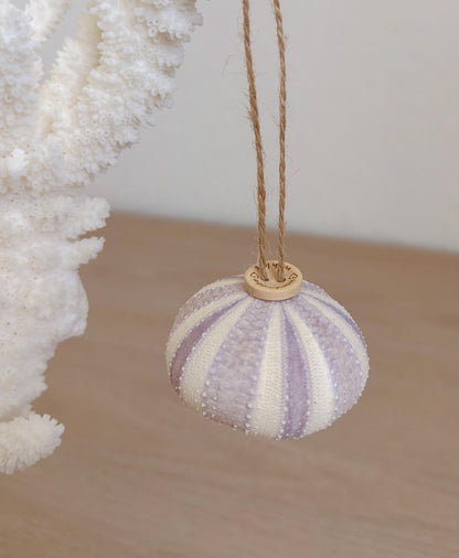 Handmade Seashells, Urchins, Starfish Ornament Set of 6, Natural Christmas Tree Decoration