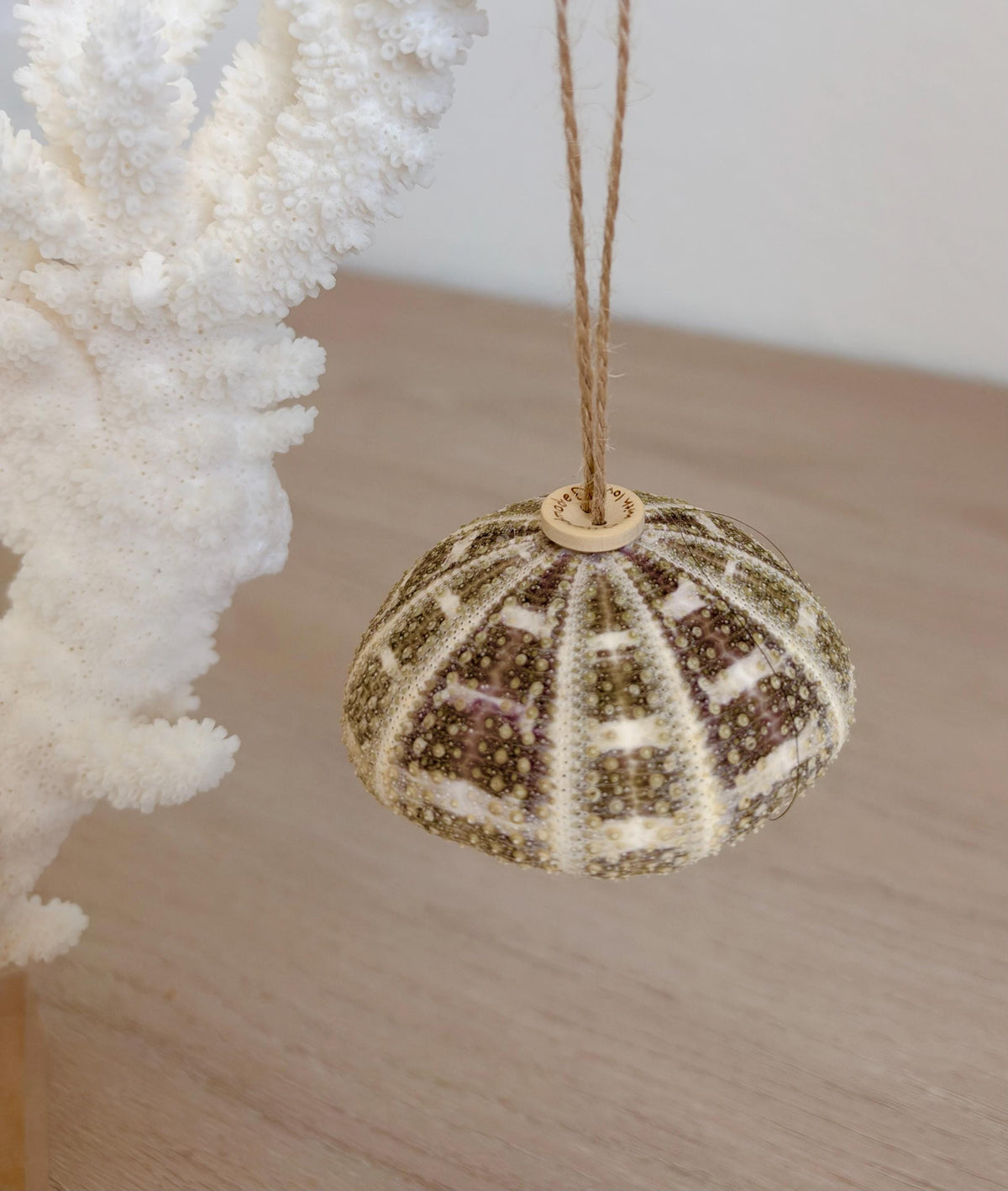 Handmade Seashells, Urchins, Starfish Ornament Set of 6, Natural Christmas Tree Decoration