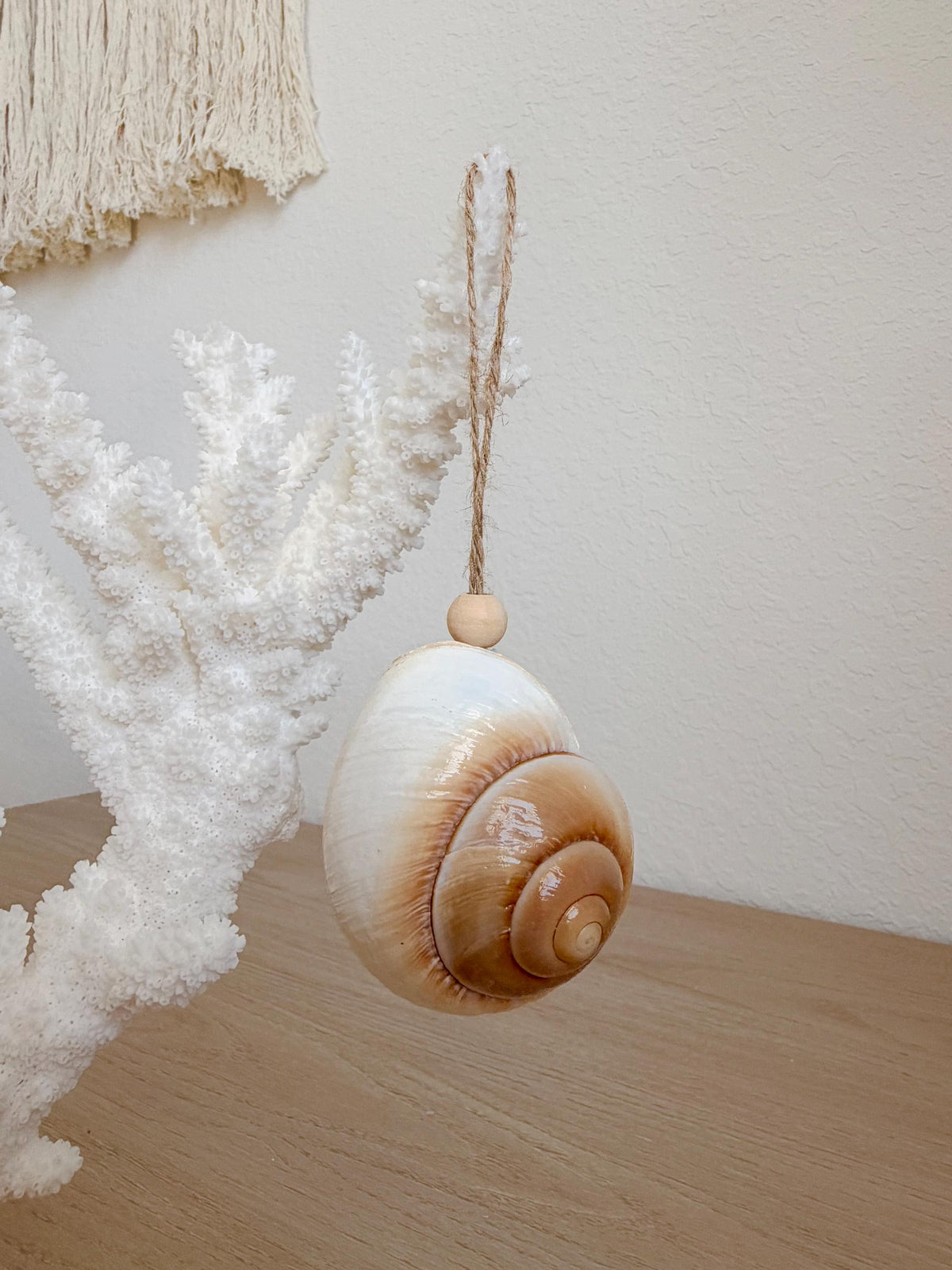 Handmade Seashells, Urchins, Starfish Ornament Set of 6, Natural Christmas Tree Decoration
