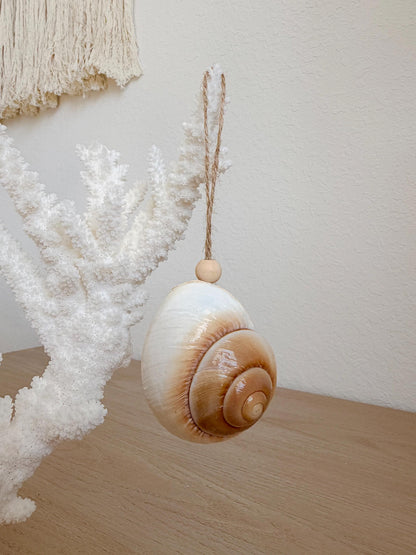 Handmade Seashells, Urchins, Starfish Ornament Set of 6, Natural Christmas Tree Decoration