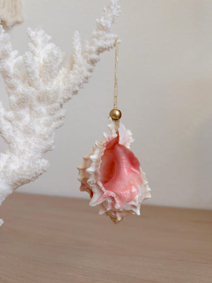 Handmade Pink Mermaid Murex Seashell Ornaments: Set of 3, Natural Shells Christmas Tree Decoration