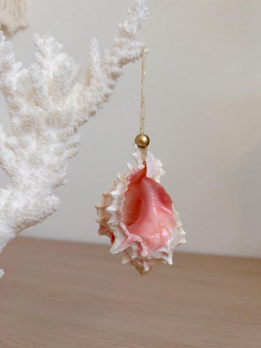 Handmade Pink Mermaid Murex Seashell Ornaments: Set of 3, Natural Shells Christmas Tree Decoration