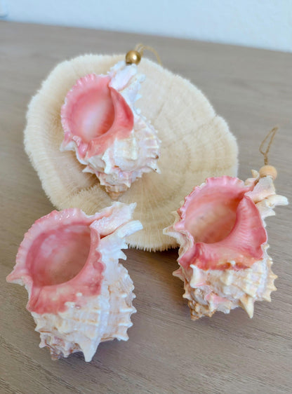 Handmade Pink Mermaid Murex Seashell Ornaments: Set of 3, Natural Shells Christmas Tree Decoration