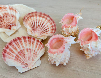 Handmade Pink Mermaid Murex & Scallop Seashell Ornaments: Set of 6, Natural Shells Christmas Tree Decoration
